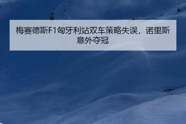 mei-sai-de-si-xiong-ya-li-zhan-shuang-che-ce-lve-shi-wu-nuo-li-si-yi-wai-duo-guan-2-698.jpg